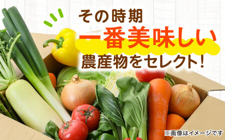 野菜 詰め合わせ【全6回定期便】（6種以上） 野菜 詰め合わせ[AGAP016]