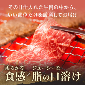 【訳あり】和牛焼肉用切り落とし 500g【A4～A5】牛肉切り落とし 焼肉【B1-188】