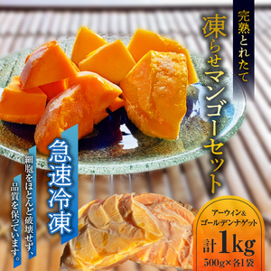 完熟 とれたて 凍らせ マンゴー セット （ アーウィン ・ ゴールデンナゲット ） C063-001 果物 フルーツ 冷凍