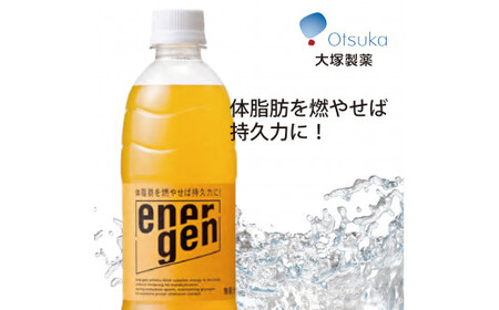 大塚製薬　『エネルゲン』　500ml×24本