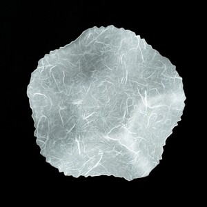 うつ和シリーズ「波・丸」(UT003A)(2枚入り)[111N09] 食器 日本製 家庭用食洗器対応可 耐熱温度80℃ 耐久性 割れにくい 電子レンジ不可 皿 お皿 うつわ 器 アクリル 樹脂 和紙 モダン 手曲げ加工