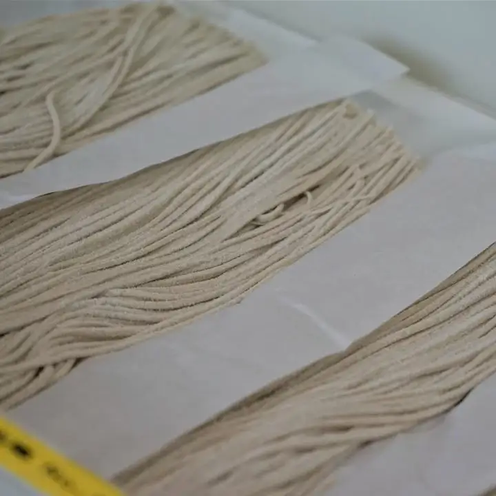 会津高郷 雷神そば 10人前（５人前×２） ギフト お土産【07208-0233】