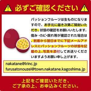 n258 ＜先行予約＞ パッションフルーツ 約1.3kg以上・9～15個入 国産 鹿児島 種子島 果物 常温 【ひさちゃん養蜂園】