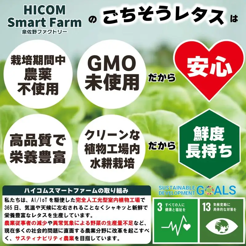 【栽培期間中農薬不使用】フリルレタス／レッドフリルレタス／バタビアレタス 食べ比べセット（8袋入り）
