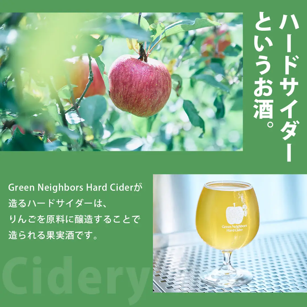 FLAGSHIP 2種 6本 set (DRY / SOUR) (DB009)