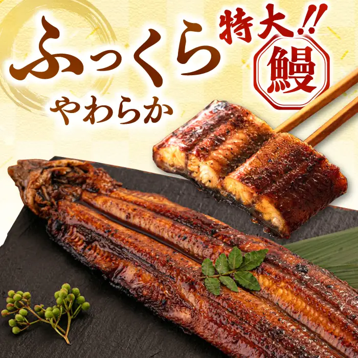 鹿児島産特上うなぎの蒲焼き 2尾 [ADAH008]うなぎの蒲焼き