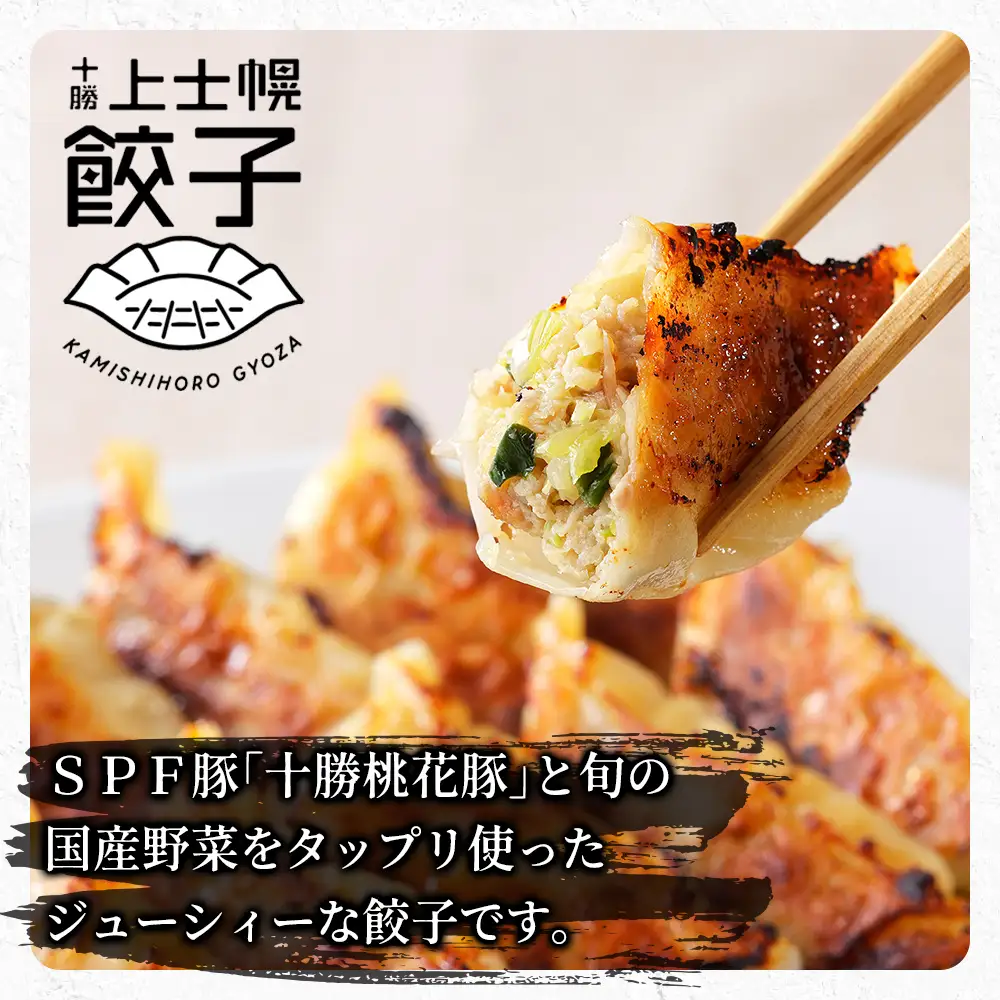 上士幌餃子 定期便 5ヵ月コース 5回 ぎょうざ ギョウザ 国産 北海道 十勝産SPF豚使用 冷凍生餃子 お惣菜 中華 点心 お取り寄せ