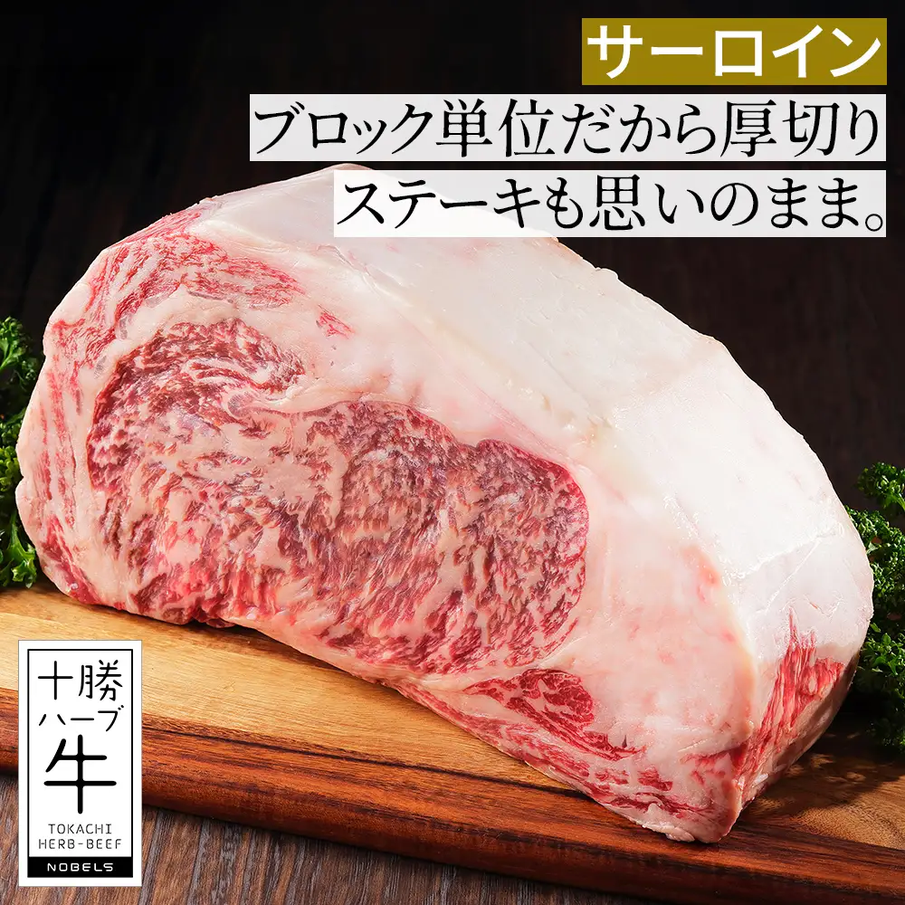 十勝ハーブ牛 サーロイン ヒレ ブロック セット 計3kg 北海道産 牛肉 赤身 国産 フィレ キャンプ アウトドア バーベキュー BBQ