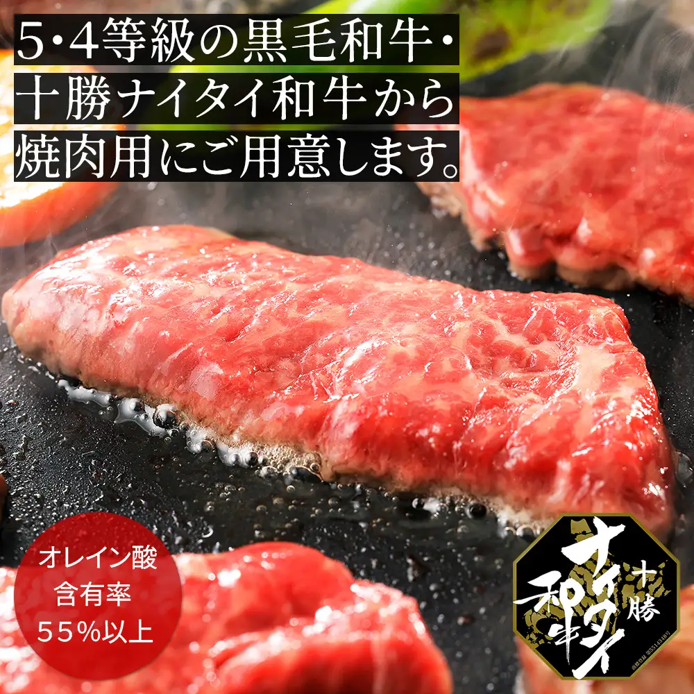 十勝ナイタイ和牛 モモ 焼肉 ハンバーグ セット 計540g 国産 北海道 牛 肉 牛肉 国産牛 和牛 5・4等級 黒毛和牛 オレイン酸含有率55%以上 冷凍