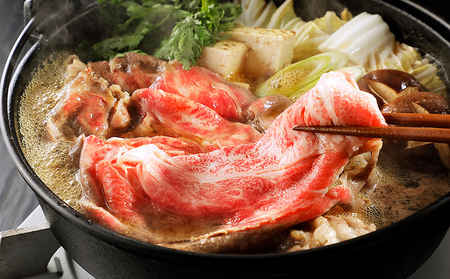 十勝ナイタイ和牛 特選 定期便 5回 5ヵ月定期便 国産 北海道 牛 肉 牛肉 和牛 5・4等級 黒毛和牛 オレイン酸含有率55%以上 焼肉 すき焼き ステーキ サーロイン ヒレ フィレ 肩ロース リブロース 冷凍