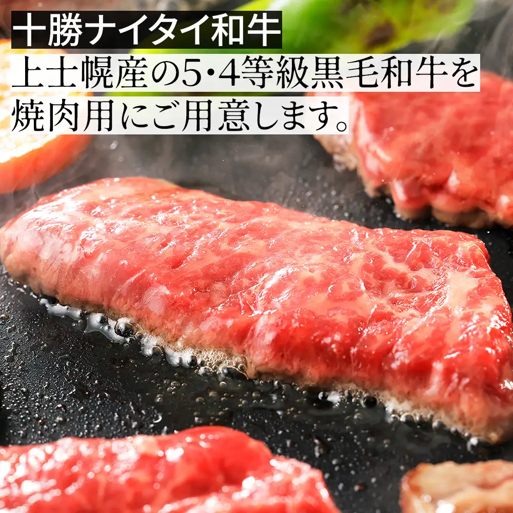 ニークファクトリーの焼肉2種と切り落としの山盛りセット 計2.7kg 北海道産 和牛肉 牛肉 焼肉 切り落とし