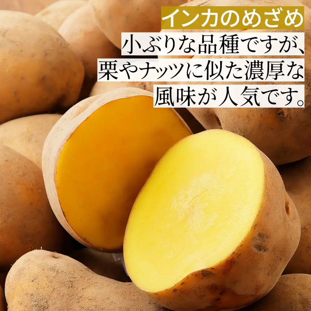 2026年産 先行予約 北海道産 インカのめざめ その他3種 じゃがいも 計10kg（2.5kg×4種） 上士幌町加藤農場 インカの目覚め 馬鈴薯 芋 イモ 野菜 詰め合わせ ◆2026年11月配送予定