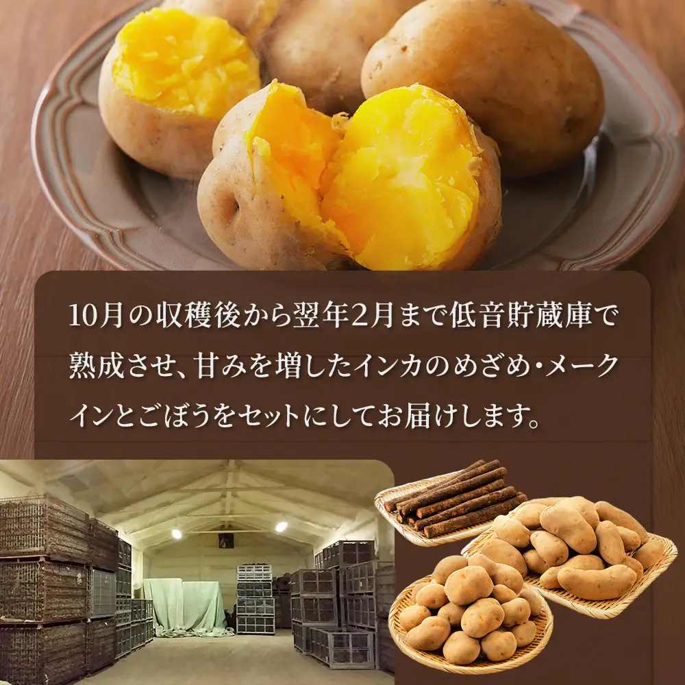 2026年産 先行予約 北海道産 越冬 インカのめざめ メークイン ごぼう セット 計9kg 北海道 上士幌町 西原農場 野菜 熟成 じゃがいも ジャガイモ インカ インカの目覚め 馬鈴薯 詰め合わせ 産地直送  ◆2027年02月配送