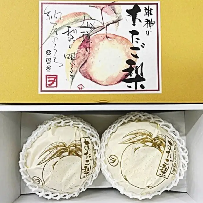 あたご梨 2玉（約1.7kg）化粧箱入り