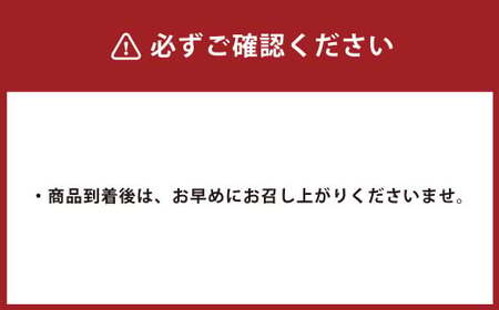 からし蓮根 2本 セット 合計約560g 辛子蓮根 蓮根 特産品 熊本県  