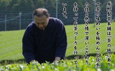 煎茶 八女茶 5袋セット 100g×5袋 茶 お茶 煎茶 飲料 茶葉 