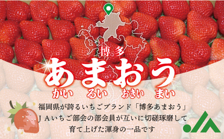 急速冷凍！人気のあまおう 冷凍いちご　福岡県特産品　大容量 1.6kg【JAほたるの里】_HA1513