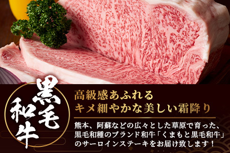 【 A4～ A5 等級 】くまもと黒毛和牛サーロインステーキセット 1kg（ 250ｇ×4枚 ） ブランド 牛肉 肉 サーロイン ステーキ 250ｇ×4枚 記念日 4人分 ご馳走 ご褒美 和牛 国産 熊本県 上級 上質 106-0503