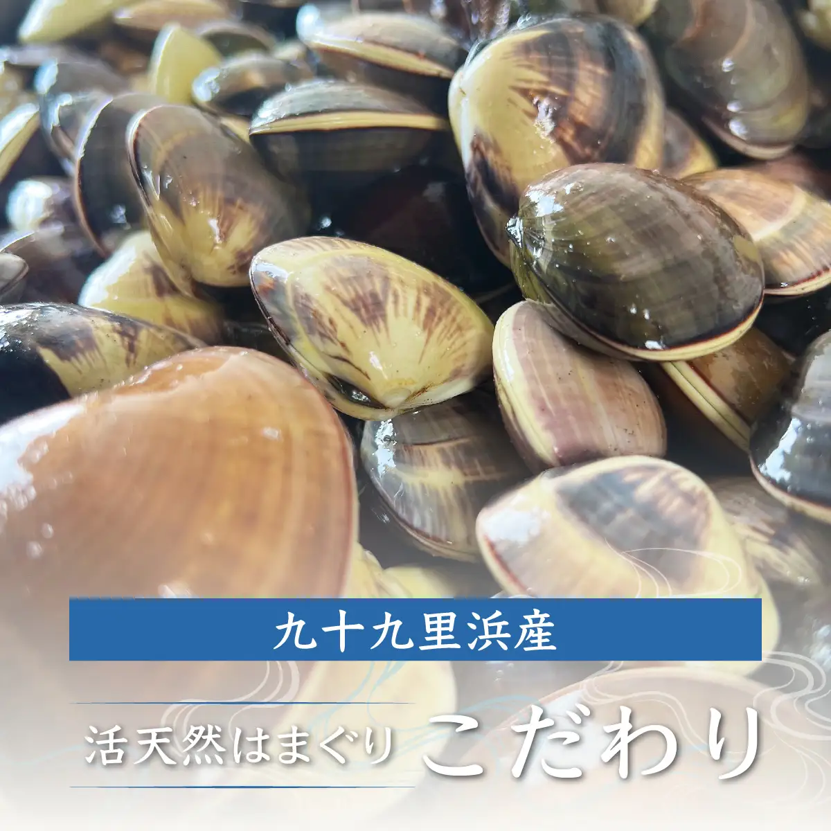 九十九里浜産活天然はまぐりサイズお任せ2kg入り SMBB001