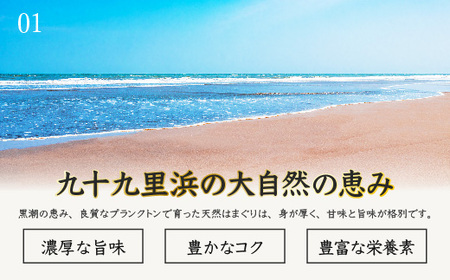 ＜3ヶ月毎月届く定期便!＞九十九里浜産活天然はまぐりサイズお任せ2kg入り SMBB005