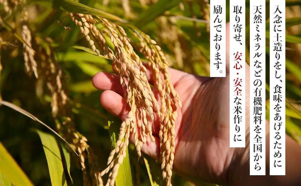 先行予約 令和8年産新米 こしひかり 10kg（農薬・化学肥料不使用）【米 こめ お米 白米 精米 ブランド米 ご飯 人気 徳島 】