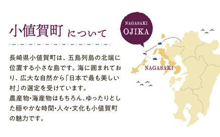 【返礼品なし】長崎県町 ふるさと応援寄附金（5,000円分） [DYZ004]