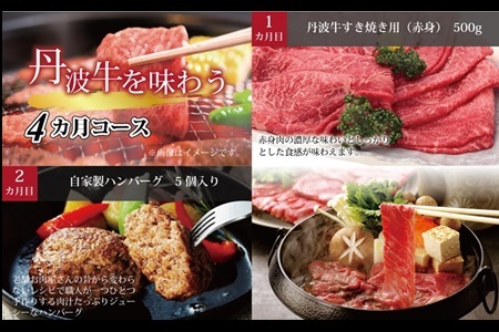 【4回定期便】丹波牛を味わう定期便【牛肉定期便】 [099IZ001R]