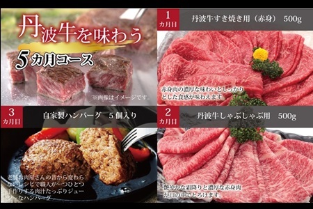 【5回定期便】丹波牛を味わう定期便 【牛肉定期便】 [123IZ001R]