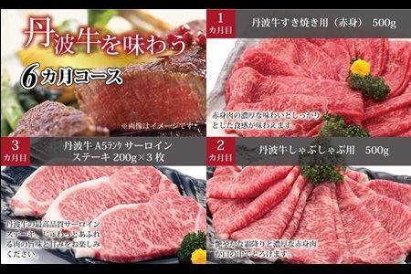 【6回定期便】丹波牛を味わう定期便 【牛肉定期便】  [168IZ001R]