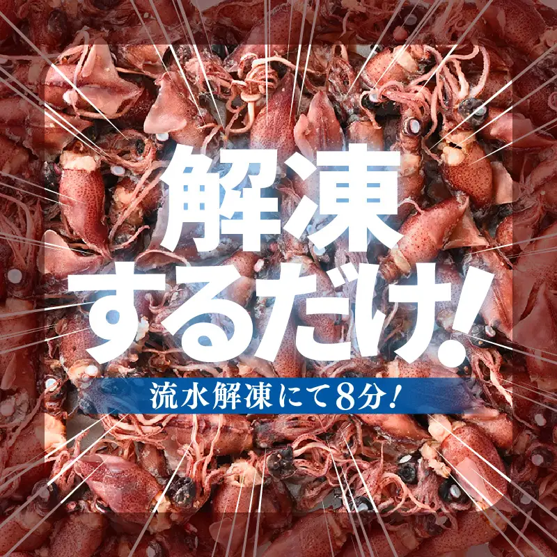 解凍するだけ ! 越前町産 ボイル済 ホタルイカ 満腹 計2kg（500g × 4P） 急速凍結 冷凍 ほたるいか 全国トップクラスの漁獲量【茹で ボイル 日本海 いか イカ 烏賊 福井県 魚介 海鮮 惣菜 さかな おつまみ 酒の肴 お取り寄せ グルメ 宅飲み 小分け 日常使い おすそわけ ギフト】 [e15-a055]
