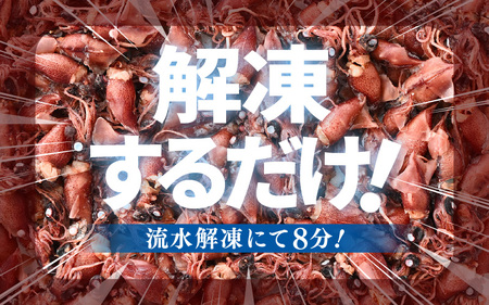 【解凍だけ】 越前町産 ボイル済 ホタルイカ 500g 急速凍結 冷凍 ほたるいか 全国トップクラス漁獲量【 日本海 福井県 海鮮 惣菜 6000円以下】 [e15-a052]