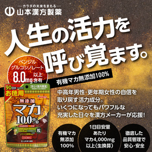 ＜6ヶ月に1度、2回送付定期便＞山本漢方の無添加マカ粒[027Y17-T]