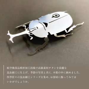 薄板チタン昆虫細工シリーズ（カブトムシ） 雑貨 昆虫 ｶﾌﾞﾄﾑｼ 高級素材 ﾁﾀﾝ 芸術品 ﾌﾟﾚｾﾞﾝﾄ ｷﾞﾌﾄ 【0067-011】