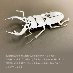 薄板チタン昆虫細工シリーズ（クワガタ） 雑貨 昆虫 ｸﾜｶﾞﾀ 高級素材 ﾁﾀﾝ 芸術品 ﾌﾟﾚｾﾞﾝﾄ ｷﾞﾌﾄ 【0067-012】