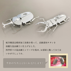 薄板チタン昆虫細工シリーズ（クワガタ＆カブトムシ セット） 雑貨 昆虫 ｸﾜｶﾞﾀ 高級素材 ｶﾌﾞﾄﾑｼ ﾁﾀﾝ 芸術品 ﾌﾟﾚｾﾞﾝﾄ ｷﾞﾌﾄ 【0067-013】