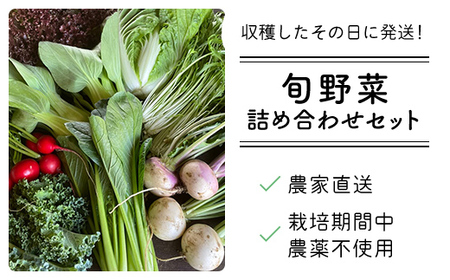 【栽培期間中農薬不使用】農家直送！「９品」季節の新鮮野菜詰め合わせセット  AIBA FARM TML001 / 野菜セット 野菜 千葉県 富里市 直送野菜 お野菜セット 旬野菜 季節野菜 農家直送 採れたて とれたて やさい 詰め合わせ セット ヤサイ  旬の野菜 季節の野菜 産地直送 詰め合わせ おまかせ 新鮮 農薬不使用 野菜 