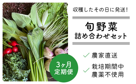 【3ヶ月 定期便】【栽培期間中農薬不使用】農家直送！「９品」季節の新鮮野菜詰め合わせセット AIBA FARM TML002 / 野菜セット 無農薬 野菜 千葉県 富里市 直送野菜 お野菜セット 旬野菜 季節野菜 農家直送 採れたて とれたて やさい 詰め合わせ セット ヤサイ 旬の野菜 季節の野菜 産地直送 詰め合わせ おまかせ 新鮮 農薬不使用