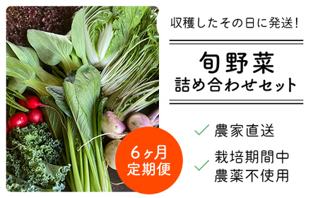 【6ヶ月 定期便】【栽培期間中農薬不使用】農家直送！「９品」季節の新鮮野菜詰め合わせセット AIBA FARM TML003 / 野菜セット 無農薬 野菜 千葉県 富里市 直送野菜 お野菜セット 旬野菜 季節野菜 農家直送 採れたて とれたて やさい 詰め合わせ セット ヤサイ  旬の野菜 季節の野菜 産地直送 詰め合わせ おまかせ 新鮮  農薬不使用 野菜 