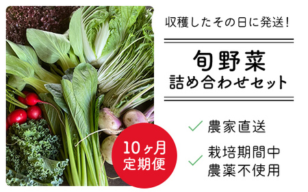 【10ヶ月 定期便】【栽培期間中農薬不使用】農家直送！「９品」季節の新鮮野菜詰め合わせセット AIBA FARM TML004 / 野菜セット 無農薬 野菜 千葉県 富里市 直送野菜 お野菜セット 旬野菜 季節野菜 農家直送 採れたて とれたて やさい 詰め合わせ セット ヤサイ  旬の野菜 季節の野菜 産地直送 詰め合わせ おまかせ 新鮮 農薬不使用 野菜 