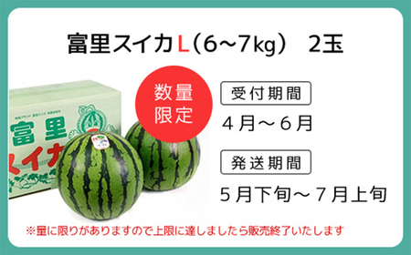富里スイカ(Lサイズ6～7kg)2玉  すいか スイカ 西瓜 千葉県 富里市 果物 フルーツ 採れたて とれたて 産地直送 農家直送 千葉県産 ちば 千葉すいか 千葉スイカ 富里 富里すいか 富里スイカ 甘い あまい 美味しい おいしい 大玉 大玉すいか 大玉スイカ TMF006