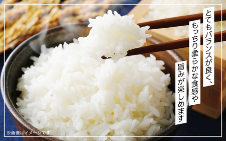 令和7年産 富里市産コシヒカリ ５㎏ TMF004 / こしひかり コシヒカリ 米 こめ コメ 白米 単一米 精米 うるち精米 5kg もっちり 柔らか うまみ 旨味 うま味 日本食 鮮度自慢 産直 産地直送 J A富里 農協 千葉県 富里市 千葉産 千葉県産 ちば とみさと トミサト 富里 