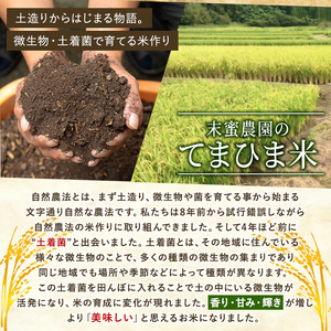 K-198-B 令和7年産 てまひま米(品種:にこまる)(計5kg)【末蜜農園】霧島市 お米 精米 白米 米 こめ コメ ご飯 ごはん 栽培期間中農薬不使用