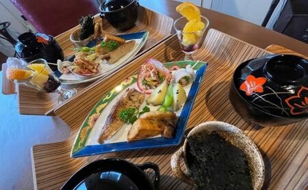 【隠岐郡知夫村 民泊「小新家本店＞】宿泊補助券20,000円分【島根県 隠岐郡 知夫村 知夫里島 離島 民泊 旅行 旅行クーポン 商品券 補助券 贅沢 くつろぎ ゆとり リラクゼーション カップル ペア 夫婦 家族 宿泊】