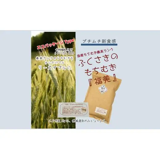 ふくさきのもちむぎ「福美」 精麦 1kg×2袋 2kg eco Package エコパッケージ もち麦