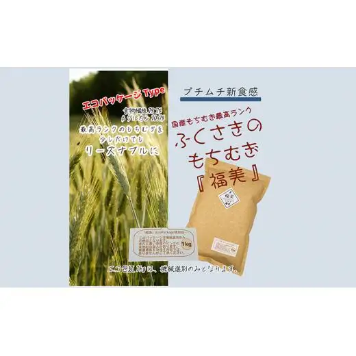 ふくさきのもちむぎ「福美」精麦1kg×4袋 4kg eco Package エコパッケージ