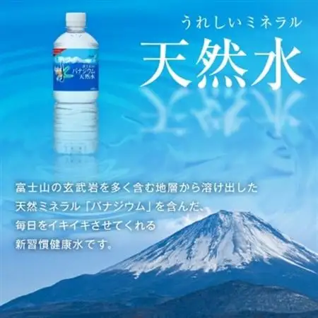 【毎月定期便】【2か月お届け】バナジウム天然水 600ml【24本入】アサヒ飲料全2回【4053271】