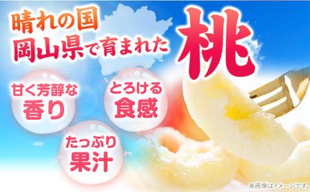 岡山の桃 約750g 　白桃