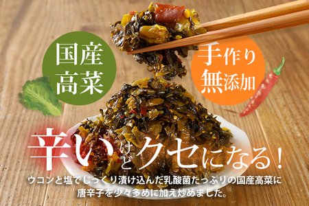 辛子高菜 240g×3パック（720g） 山賊の高菜