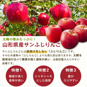 《先行予約》令和8年産 りんご（サンふじ）と ラ・フランス 詰合せ 3kg 山形県産【2026年11月頃から12月中旬頃発送予定】2026年産 山形県産　014-B-MM073