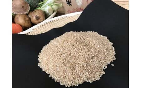  【栽培期間農薬不使用】玄米2kgと季節の野菜（4～5品）のセット 野菜 米 詰合せ 【2025年9月より順次発送開始】